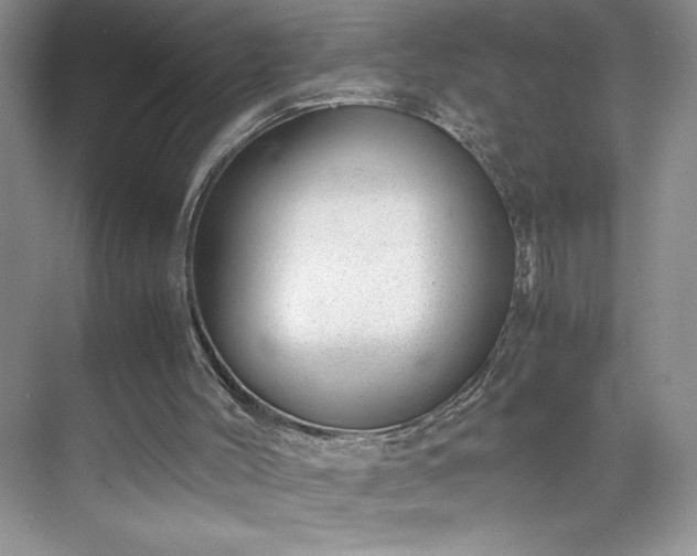 X0000071780004200607071442