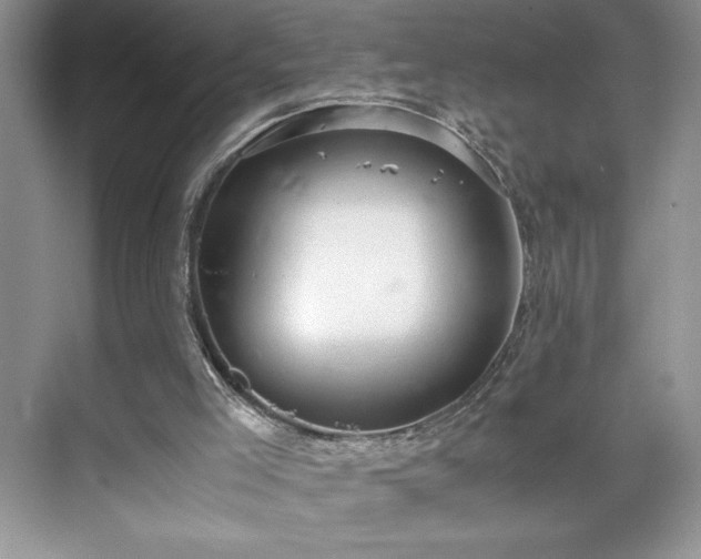 X0000071780005200607071442