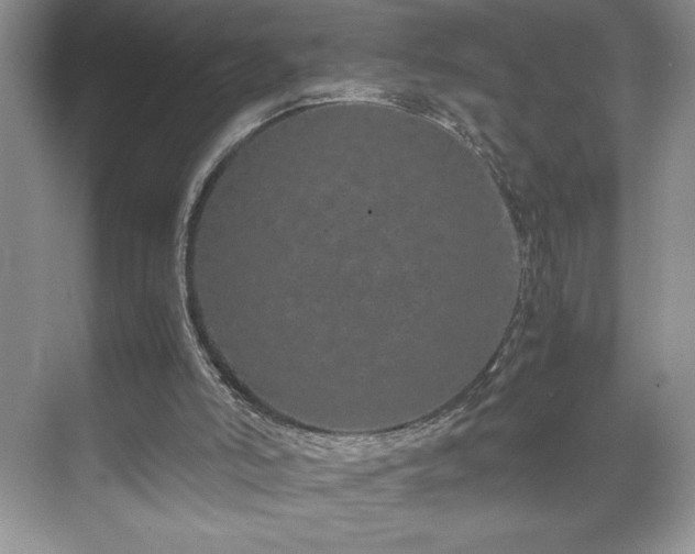 X0000071780006200607071442