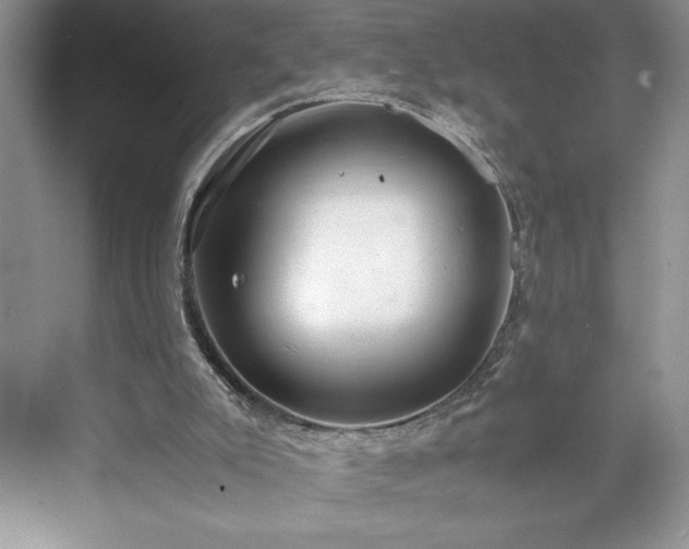 X0000071780007200607071442