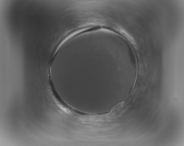 X0000071780009200607071442