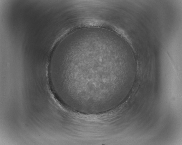 X0000071780010200607071441