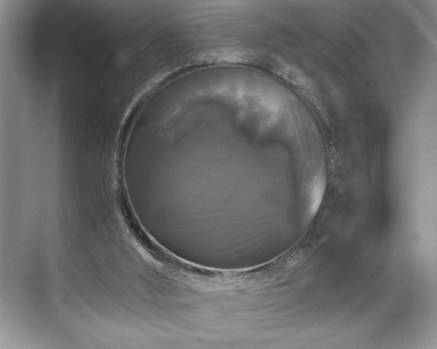 X0000071780012200607071441