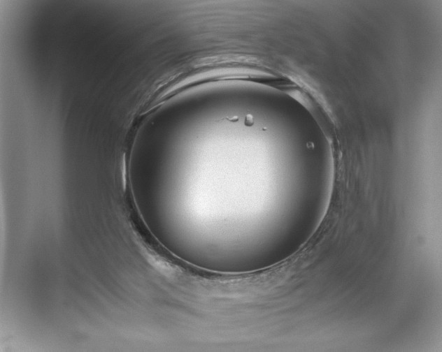 X0000071780013200607071441