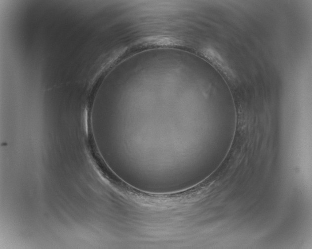 X0000071780014200607071441