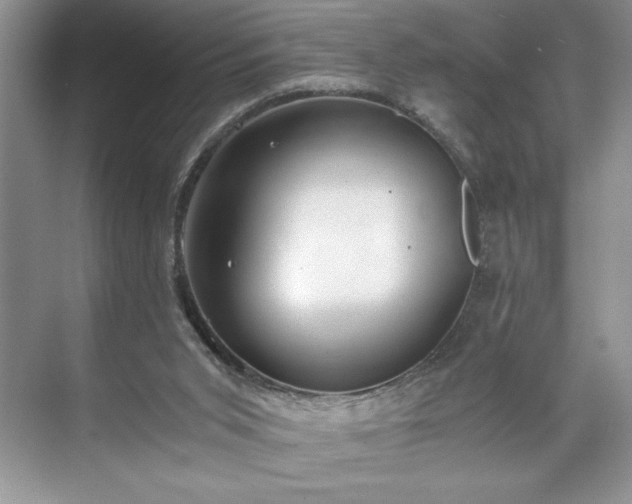 X0000071780015200607071441