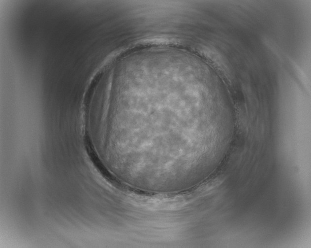 X0000071780016200607071441