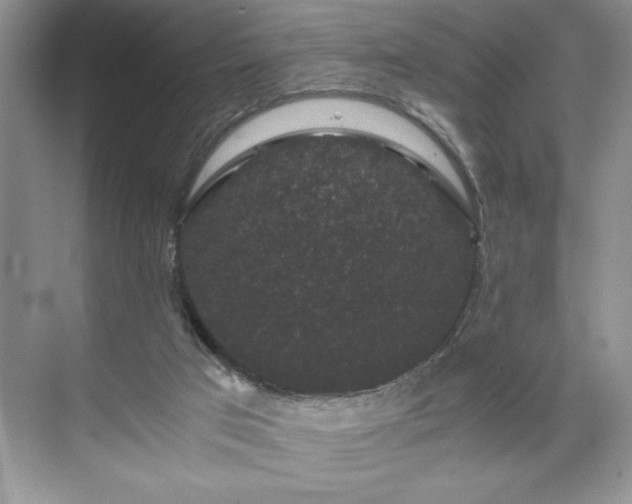 X0000071780017200607071441