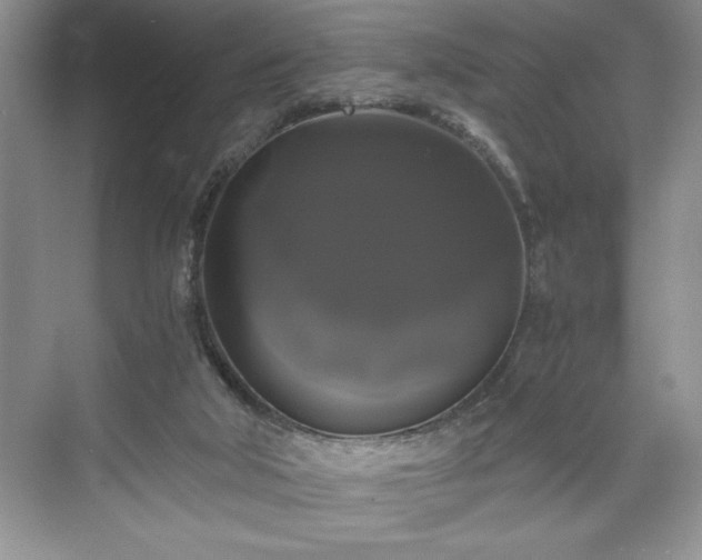 X0000071780018200607071441