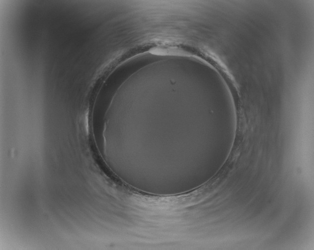 X0000071780019200607071441