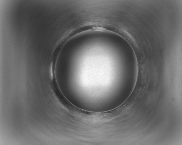 X0000071780020200607071441