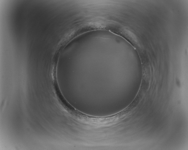 X0000071780023200607071441