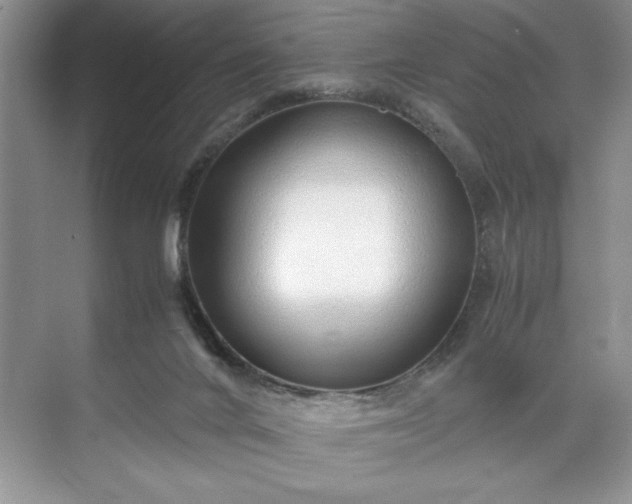 X0000071780024200607071441