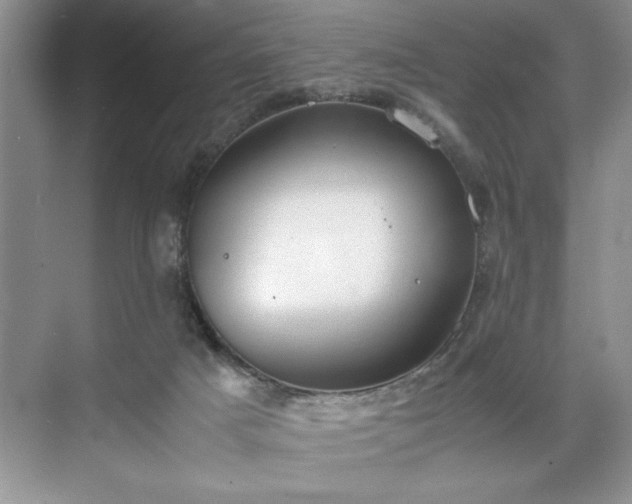 X0000071780025200607071441