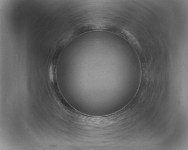 X0000071780026200607071441