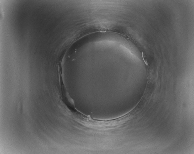 X0000071780027200607071441