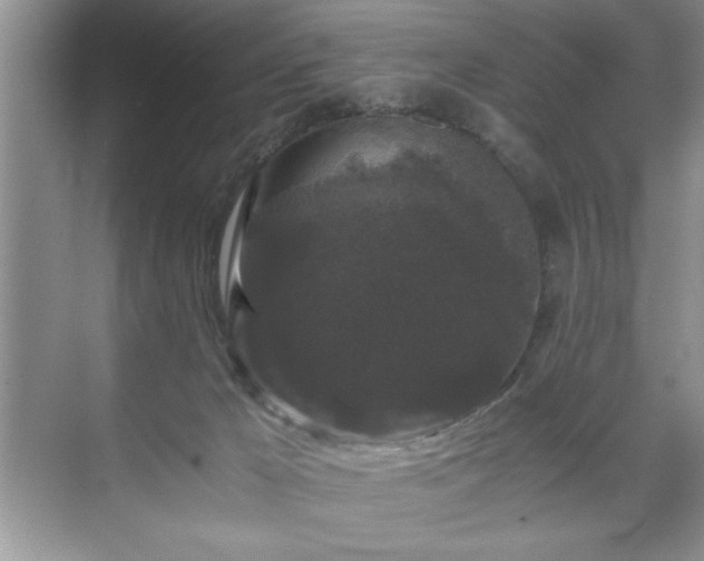 X0000071780029200607071441