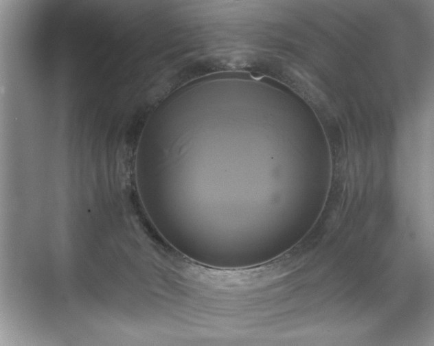 X0000071780030200607071441