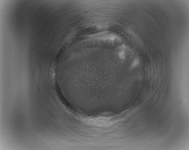 X0000071780032200607071441