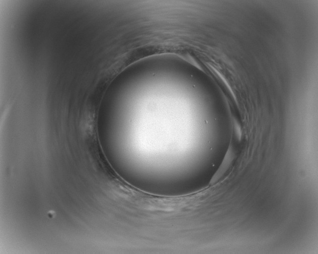 X0000071780033200607071441