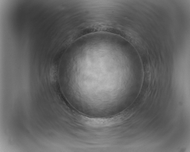 X0000071780034200607071441