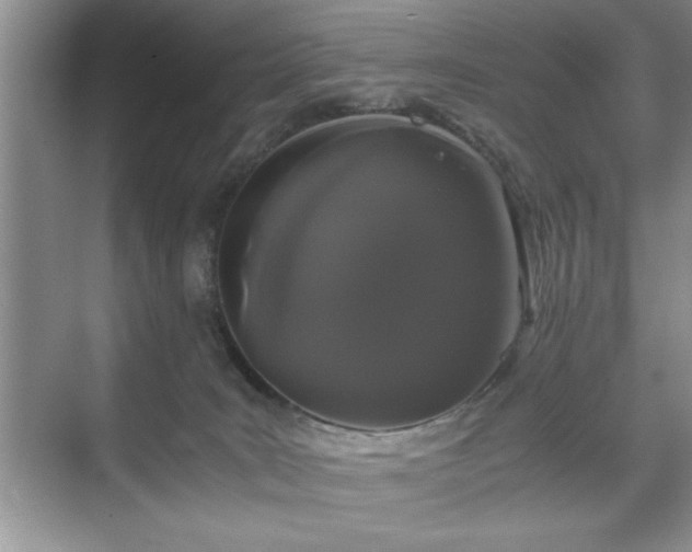 X0000071780035200607071441