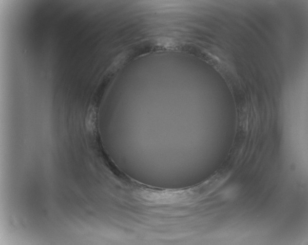 X0000071780036200607071441