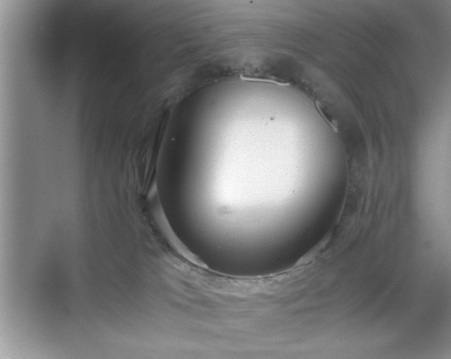 X0000071780037200607071441