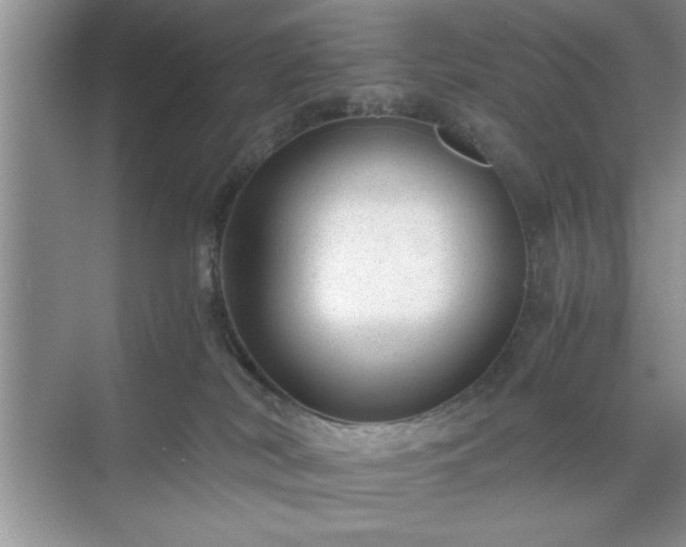 X0000071780038200607071441