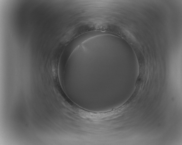 X0000071780039200607071441