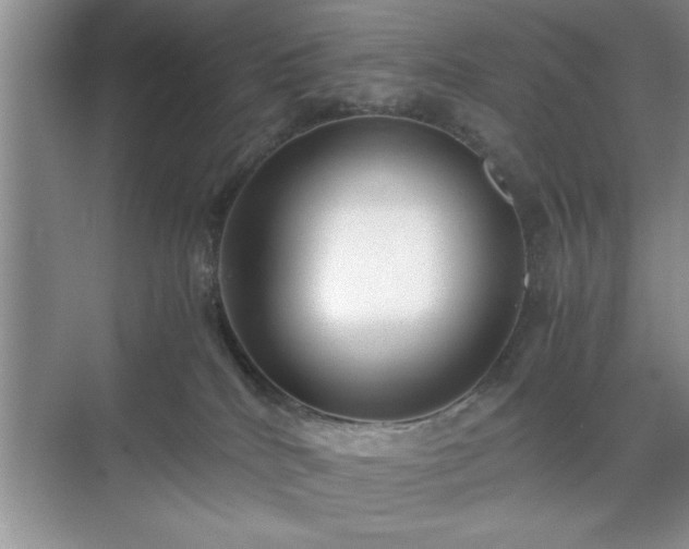 X0000071780040200607071441