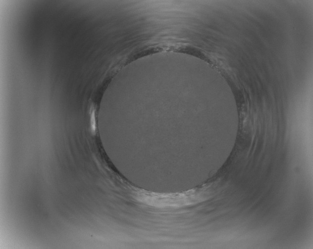 X0000071780042200607071441