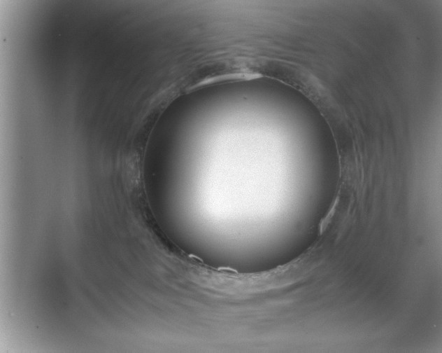 X0000071780043200607071441