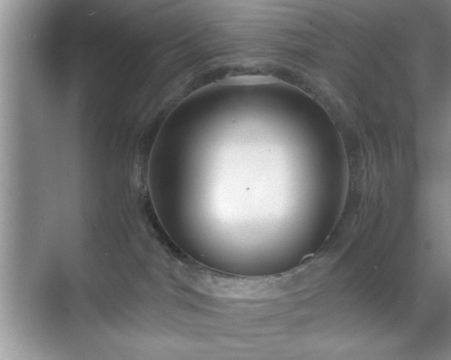 X0000071780044200607071441