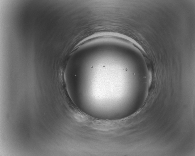 X0000071780045200607071441