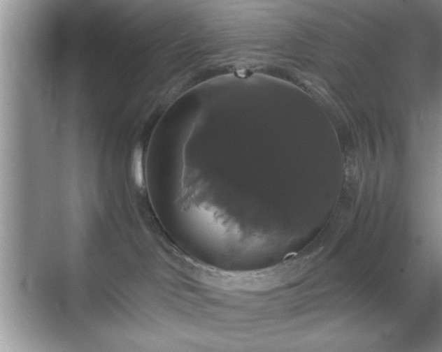 X0000071780046200607071441