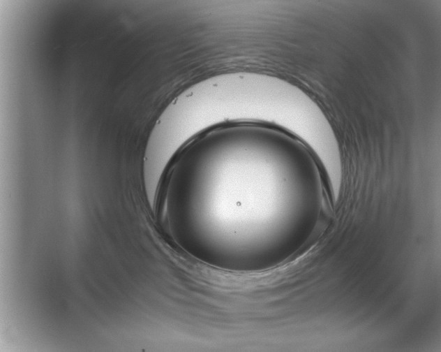 X0000071780047200607071441