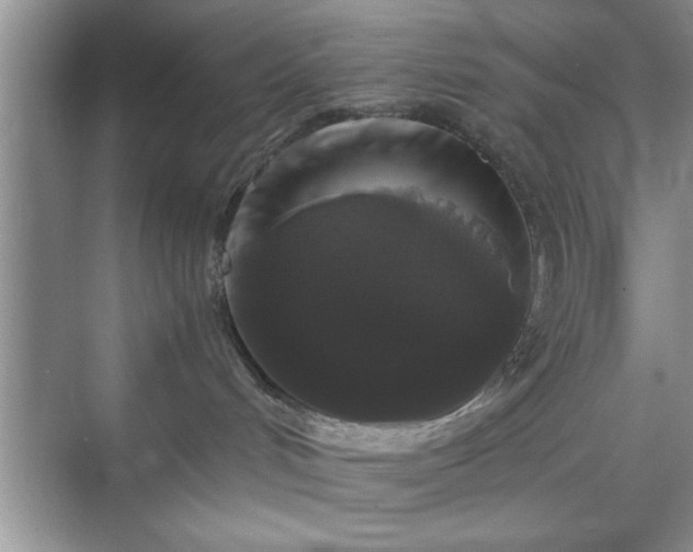 X0000071780048200607071441