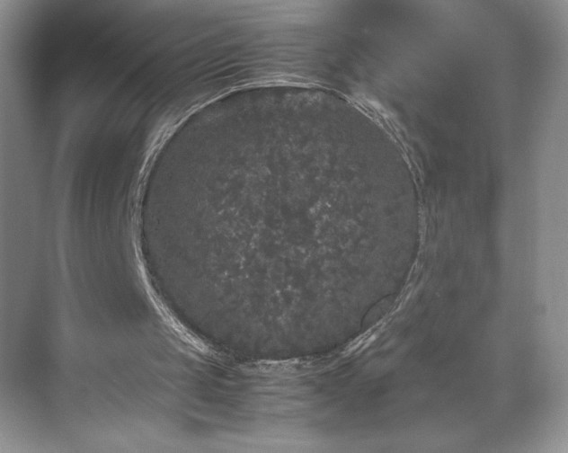 X0000071780049200607071440