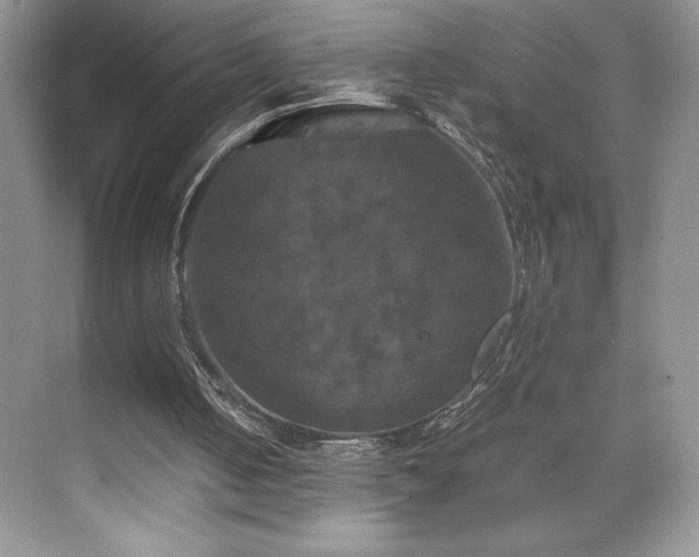 X0000071780050200607071440