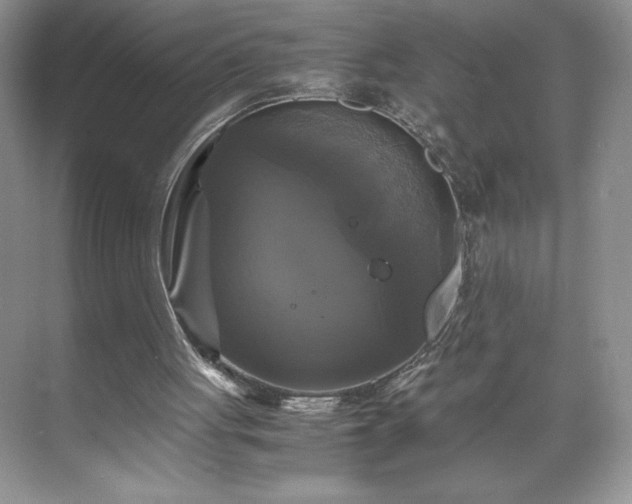 X0000071780051200607071440