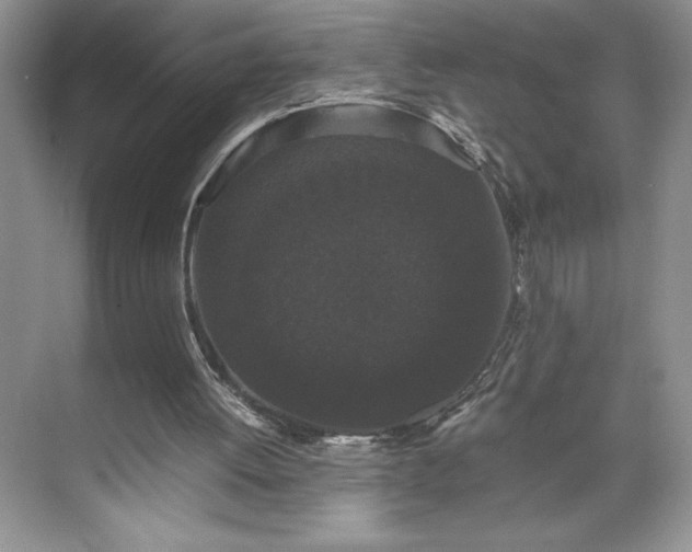 X0000071780052200607071440