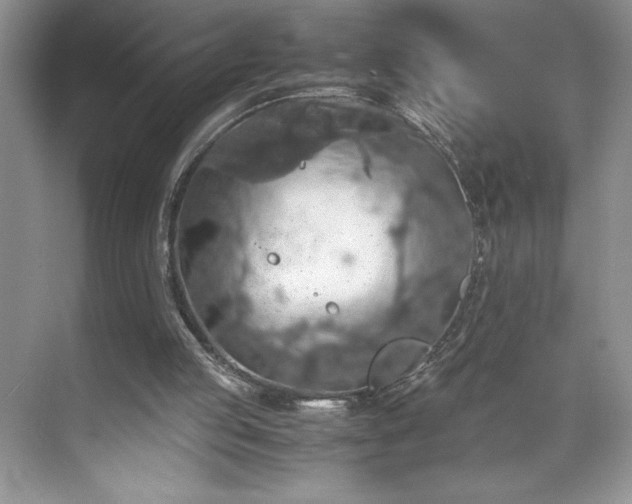 X0000071780053200607071440