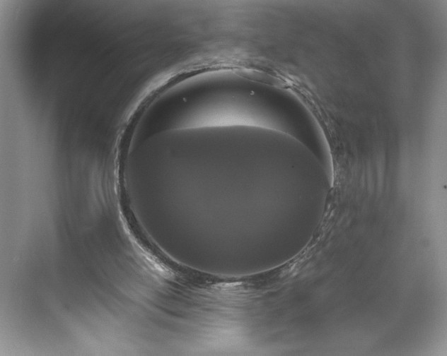 X0000071780054200607071440