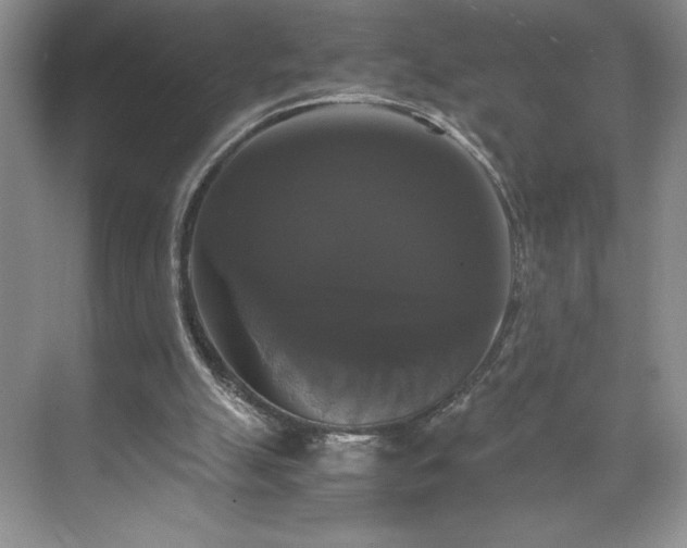 X0000071780055200607071440