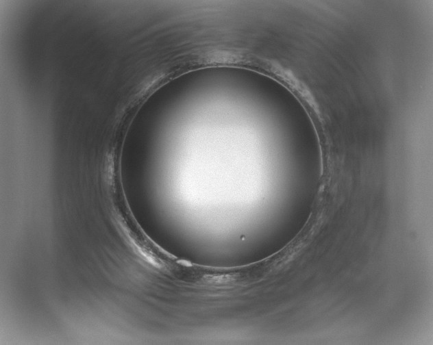 X0000071780057200607071440