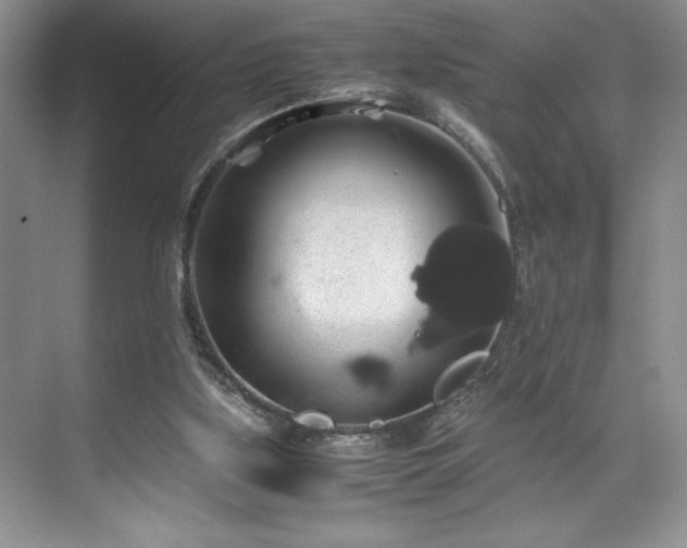 X0000071780059200607071440