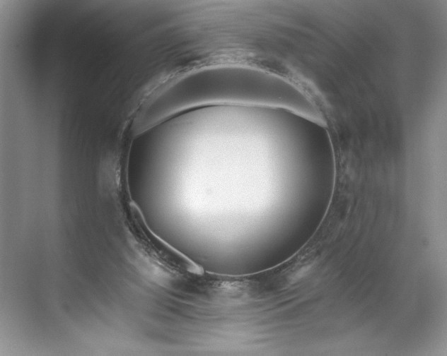 X0000071780060200607071440