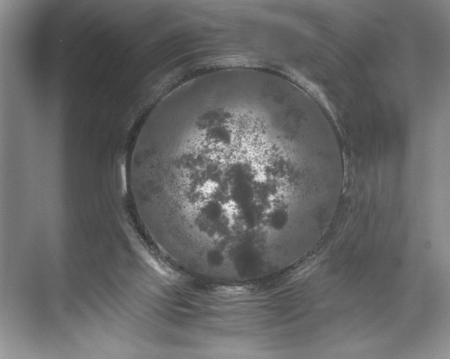 X0000071780061200607071440