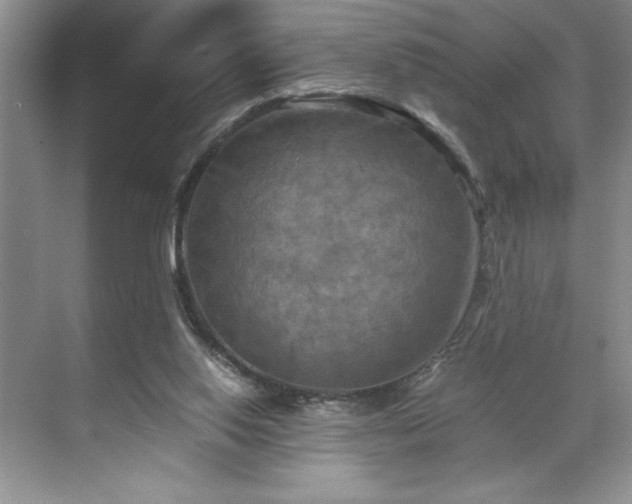 X0000071780062200607071440